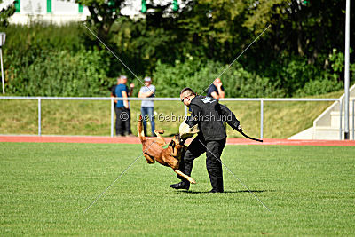 Fiasko vom Haus Mecki