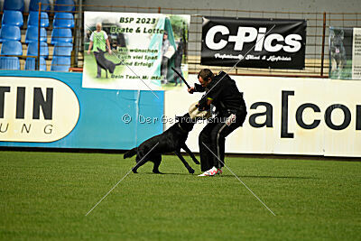 Fiete von der Grenze