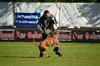 Figlio von Alt-Bayern