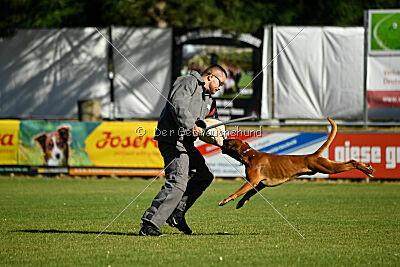 Figlio von Alt-Bayern