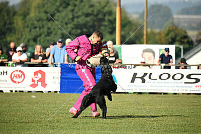 Figo vom Wiesengrund