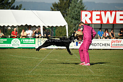 Figo vom Wiesengrund