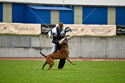 Fil Iz Komandy Azart