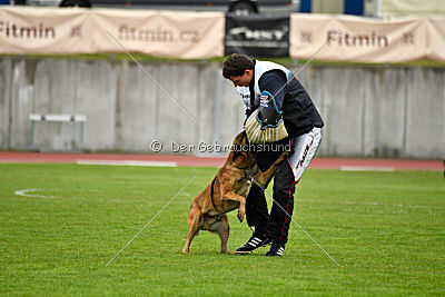 Fil Iz Komandy Azart