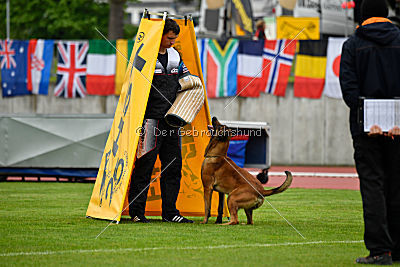 Fil Iz Komandy Azart