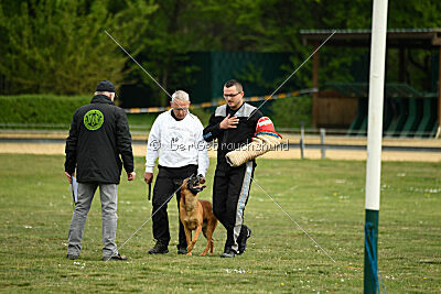 Findus von Maliattack