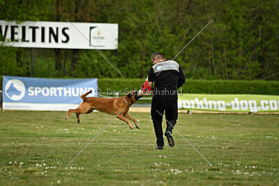 Findus von Maliattack