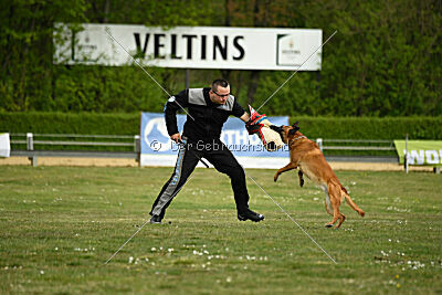 Findus von Maliattack