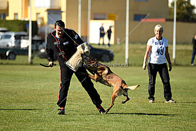Finn von den Räuberwegen