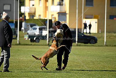 Finn von den Räuberwegen