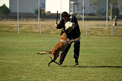 Finn von den Räuberwegen