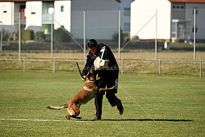 Finn von den Räuberwegen