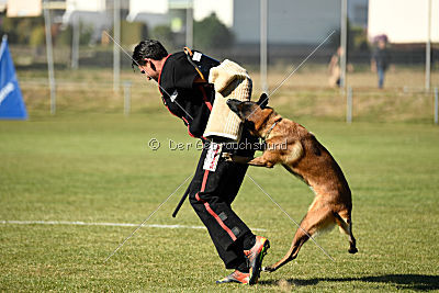 Finn von den Räuberwegen