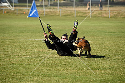 Finn von den Räuberwegen