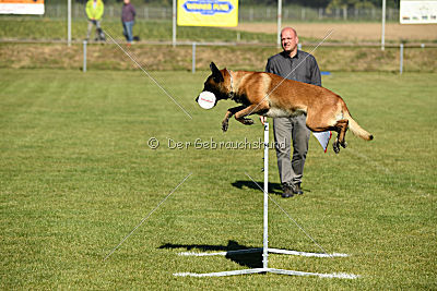 Finn von den Räuberwegen