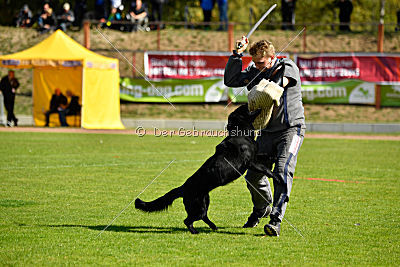 Finni vom Fuchsstein