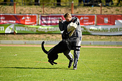 Finni vom Fuchsstein