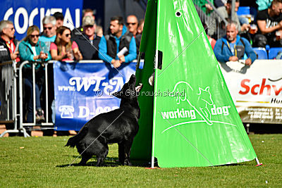 Finni vom Fuchsstein