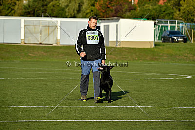 Finni vom Fuchsstein