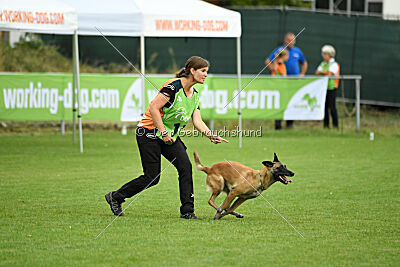 Fire vom schnellen Falken
