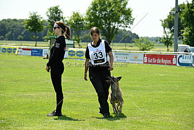 Fire vom schnellen Falken