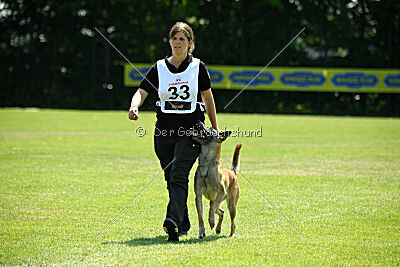 Fire vom schnellen Falken