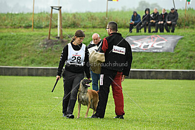 Fire vom schnellen Falken