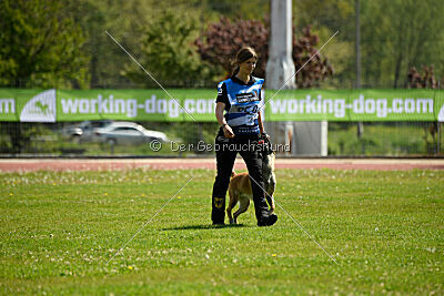 Fire vom schnellen Falken