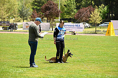 Fire vom schnellen Falken