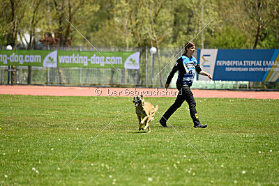 Fire vom schnellen Falken