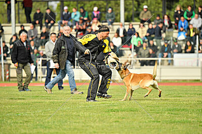 Fireballs Benny