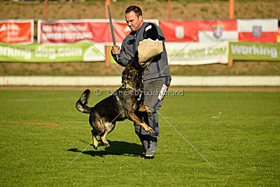 Flash vom Eisernen Kreuz