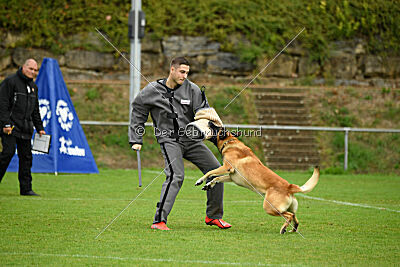 Flash von Malihattan