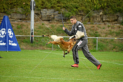 Flash von Malihattan