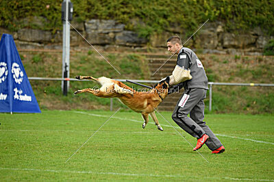 Flash von Malihattan