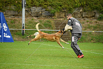 Flash von Malihattan