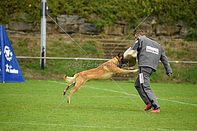 Flash von Malihattan