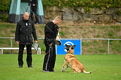 Flash von Malihattan