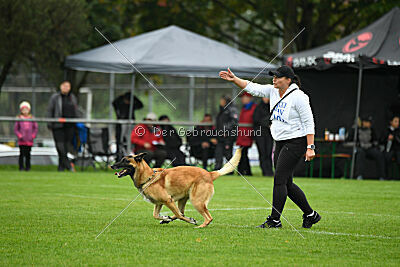 Flash von Malihattan