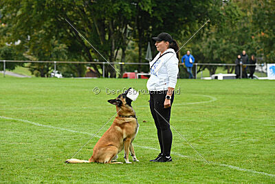 Flash von Malihattan