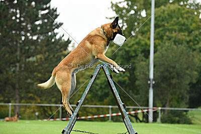 Flash von Malihattan