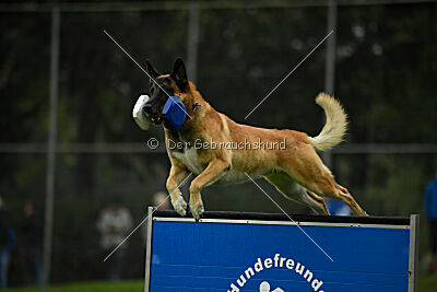 Flash von Malihattan