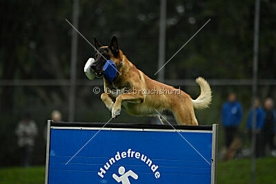 Flash von Malihattan