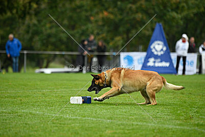 Flash von Malihattan