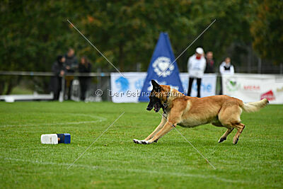 Flash von Malihattan