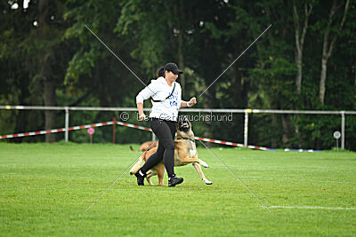 Flash von Malihattan