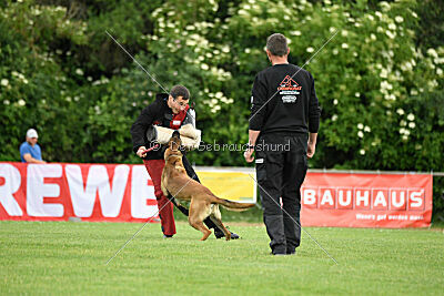 Flick vom roten Drachen