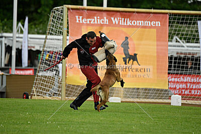 Flick vom roten Drachen