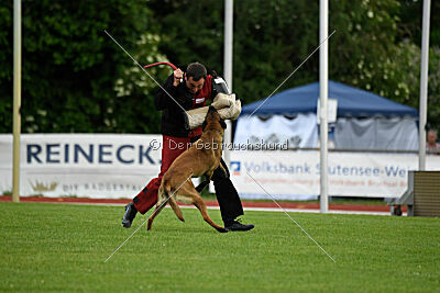 Flick vom roten Drachen