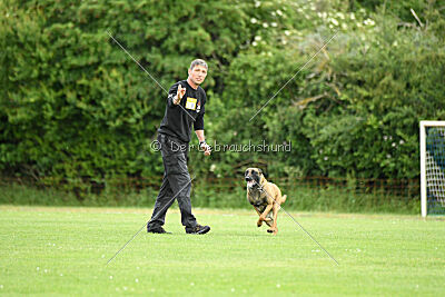 Flick vom roten Drachen